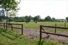 Pension retraite pour cheval