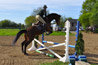 Reconversion d'un cheval de course en cheval de loisir