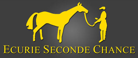 trotteur a vendre pour course