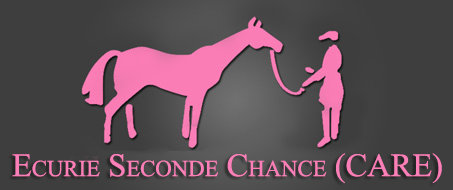 Logo Sauver Un Cheval.com
